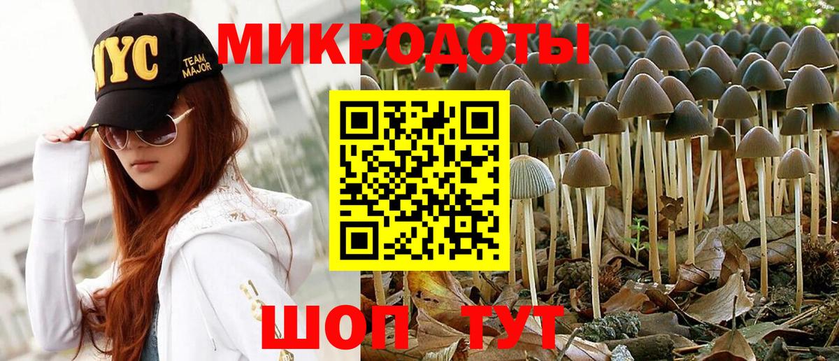 Галлюциногенные грибы Psilocybe  хочу наркоту  Миллерово  Вход с VPN 