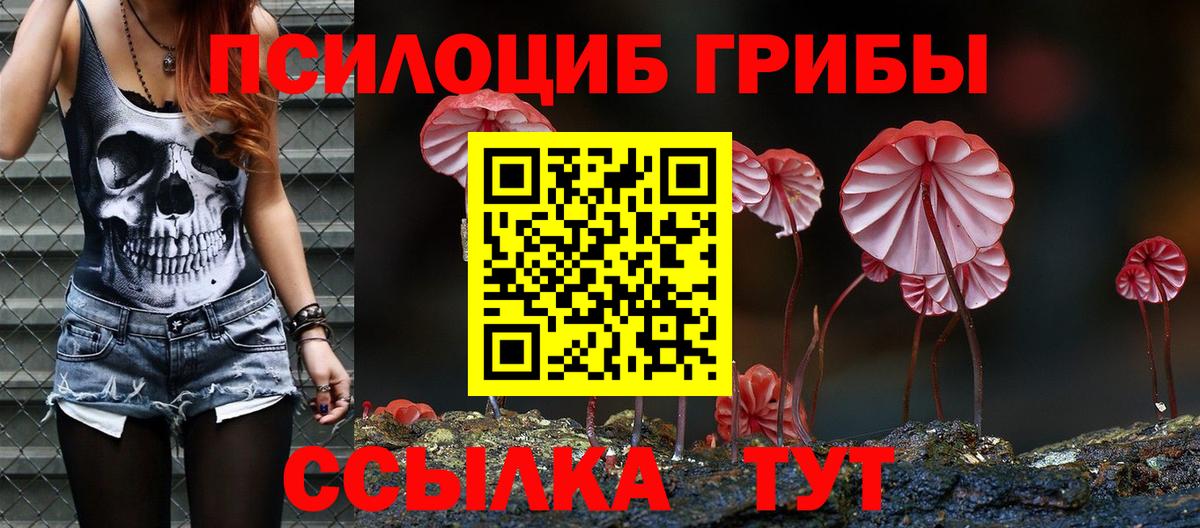 Галлюциногенные грибы Cubensis Миллерово